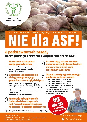 Grafika przedstawia plakat afrykańskiego pomoru świń