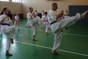 Akademia Karate